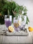 6 Piece 385ML Adrasan Hi-ball Glass SGN649