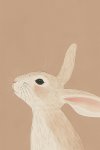 Caramel Rabbit - Wall Art Print - A1