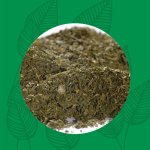 Japan Sencha Ariake
