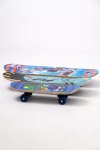 MINI Skateboard 430MM