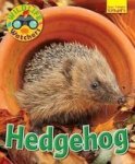 Wildlife Watchers: Hedgehog 2017 Paperback