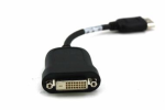 Displayport Dp To Dvi-d Cable Adapter - Gold Choice