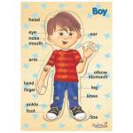 Rgs Body Parts Puzzle-boy