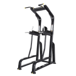 Benchmark Vertical Knee Raise Performance Line