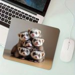 Ferret Mouse Pad With Stitched Edges FMP1