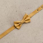 Bow Tie