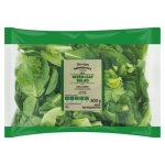 Pnp Mixed Leaf Salad 300G