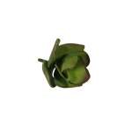 Artificial Succulent