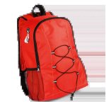 Lendross Backpack