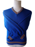 Genius Royal And Gold Striped Long Sleeve School Jersey - Unisex