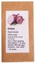 6 Degrees East Heirloom Veg Seeds - Onion - Red Creole