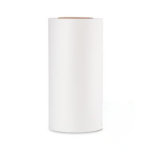 Dtf Transfer Film Roll R2 Instant - 33CM X 100M Pet Printing Film