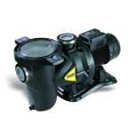 Pool Pump And Motor 2.2KW Dab Euroswim 300M