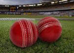 Senza Cricket Balls-pack Of 2