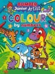 Junior Artist Bumper Colour By Numbers