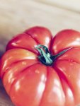 Tomato Oxheart Seed - 20 G Raw Seed