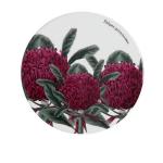 Maxwell & Williams Royal Botanic Gardens Ceramic Round Coaster 9.5CM Telopea