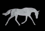 White Horse On Black Art Print - A2