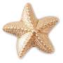 Goldair Gold Star Fish Jibbitz - Multi / Osfa