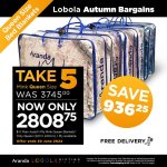 Lobola Bundle - Take 5 1 Ply Queen Plain Mink Bella Assorted - 5 X 1 Ply 220 X 240 Cm Queen