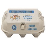 Hofina Large Eggs 6 Pack