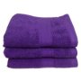 & 39 S Plush 450 Guest Towel 3PC Pack 030X050CMS 450GSM - Lilac