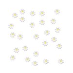 Daisies Cupped White Mix Pack Of 30