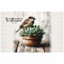 Bolster Cushion Sparrow And Succulent Matt 10:31