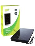 2 Plate Induction Stove