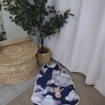 Baby Safe Sleeping Bag Blue Bear Planes Navy