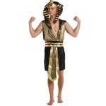 Egyptian V Shaped Costume