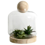 Glass Dome Greenhouse 40CM H X 30CM W - 40CM H X 30CM W