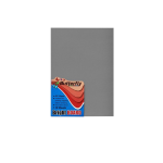 Butterfly A4 Bright Board 10S Grey