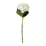 @home Stem Single Hydrangea White 75CM