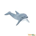 Sea Life Dolphin Calf
