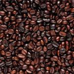 Espresso Blend Coffee Beans - 500G Filter