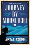Journey By Moonlight Paperback