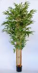 Tall Bamboo Tree In Pot – 185X80CM
