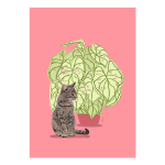 CAT & Caladium Art Print - A4