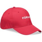 Performance Cap 6 Panel