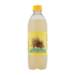 Craft Pineapple Beer 500ML