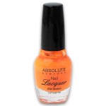 Nail Lacquer With Hardener 17ML - Assorted Colour
