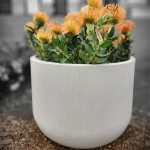 Fringe Round Japi Planter Off White - Large
