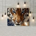 Adult Painting By Numbers - Tiger
