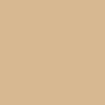 Cinnamon Bark – Ultra Matt