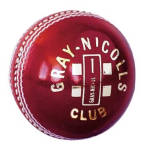 113G Cricket Ball