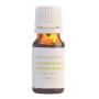 NAUTICA Organics Frankincense Serrata Pure Essential Oil - Organic 22ML