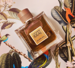 Guerlain L’homme Ideal Edp Decants samples