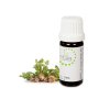 Celery Seed Essential Oil