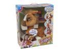 Toffee The Pony